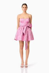 Nadeen A-Line Mini Dress in Pink